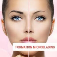 Scarlett The Beauty Centre - Formation Microblading
